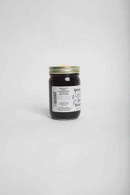 Blueberry Jam